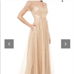Stunning Gold Champagne Sequin Designer Gown